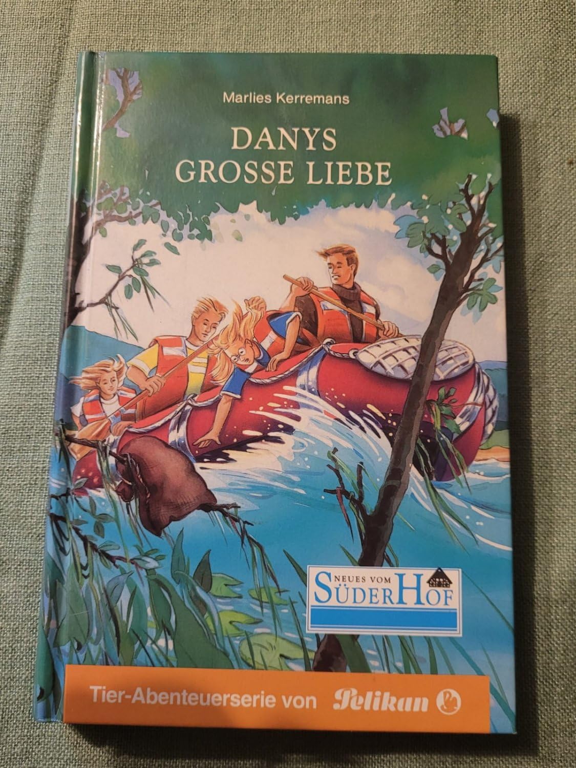 Neues vom Süderhof, Bd.34, Danys große Liebe Books