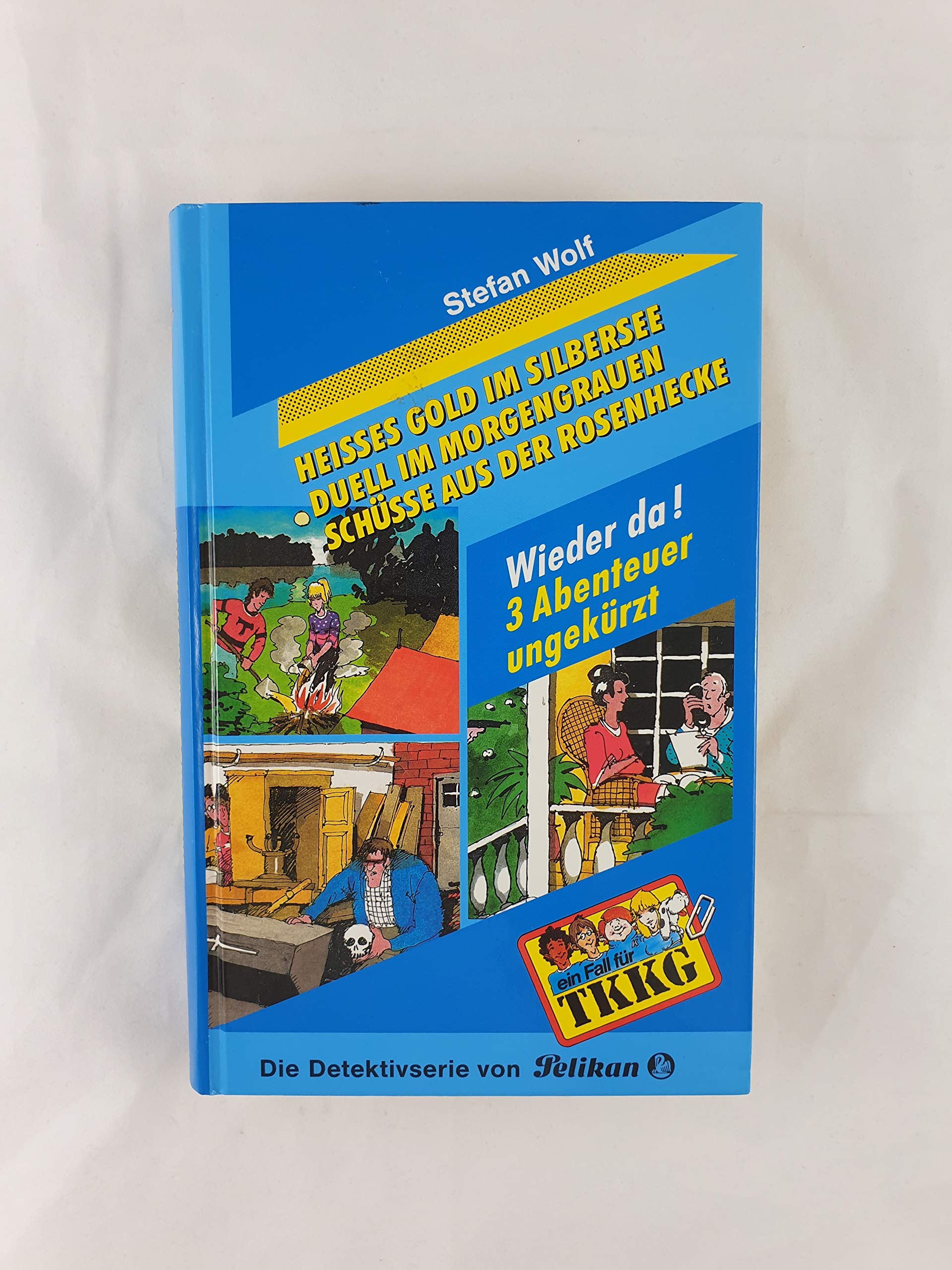 Ein Fall für TKKG, Dreifachbände, Bd.1, Heißes Gold im Silbersee Books