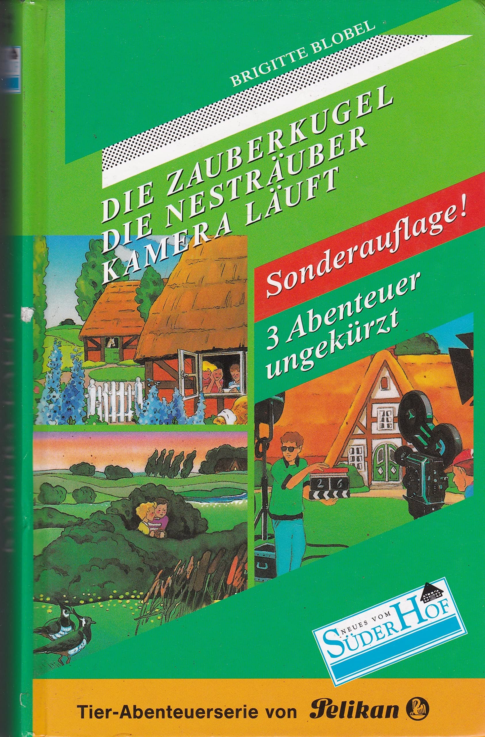 Neues vom Süderhof, Sonderbände, Bd.1, Die Zauberkugel Novels & Short Stories