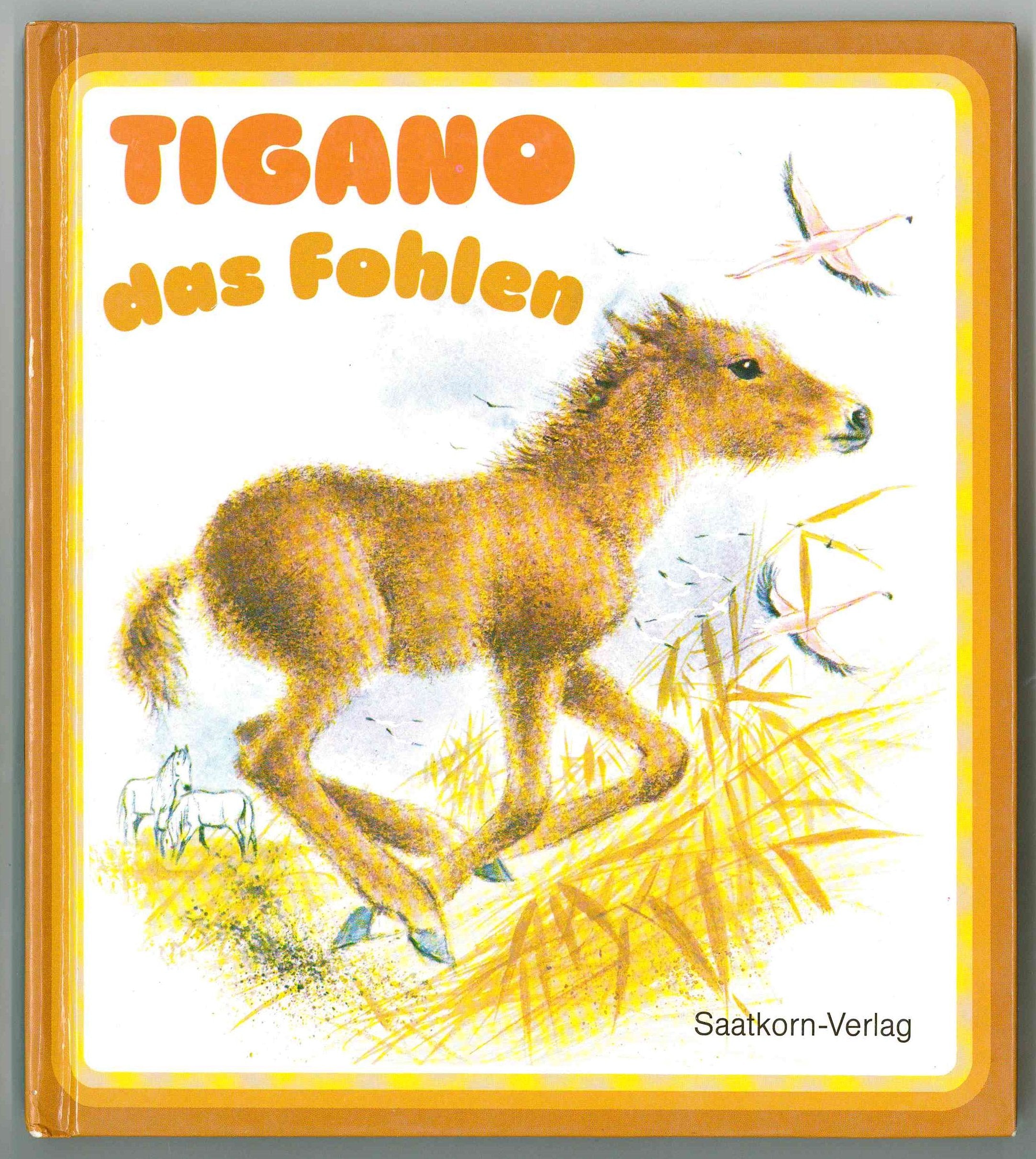 Tigano, das Fohlen, Bd 3 Books