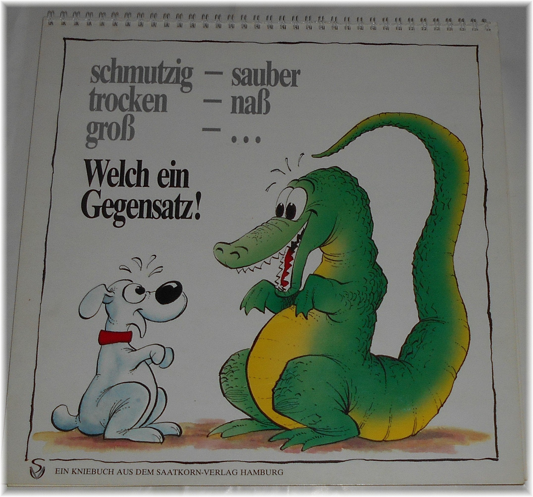 Welch ein Gegensatz. Schmutzig - sauber, trocken - naß, gross - ... Books
