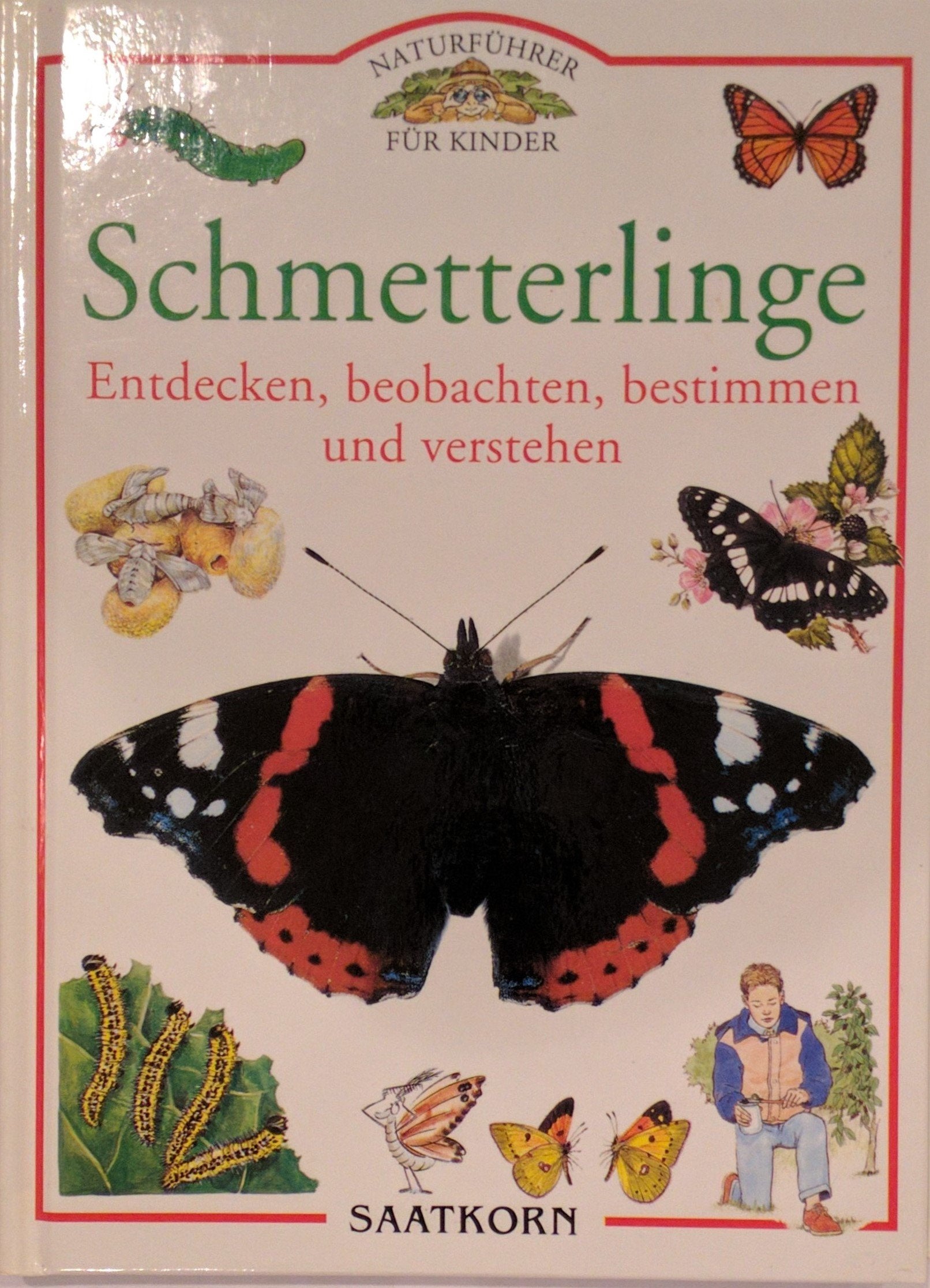 Naturführer für Kinder: Schmetterlinge - Entdecken, beobachten, bestimmen und verstehen. book