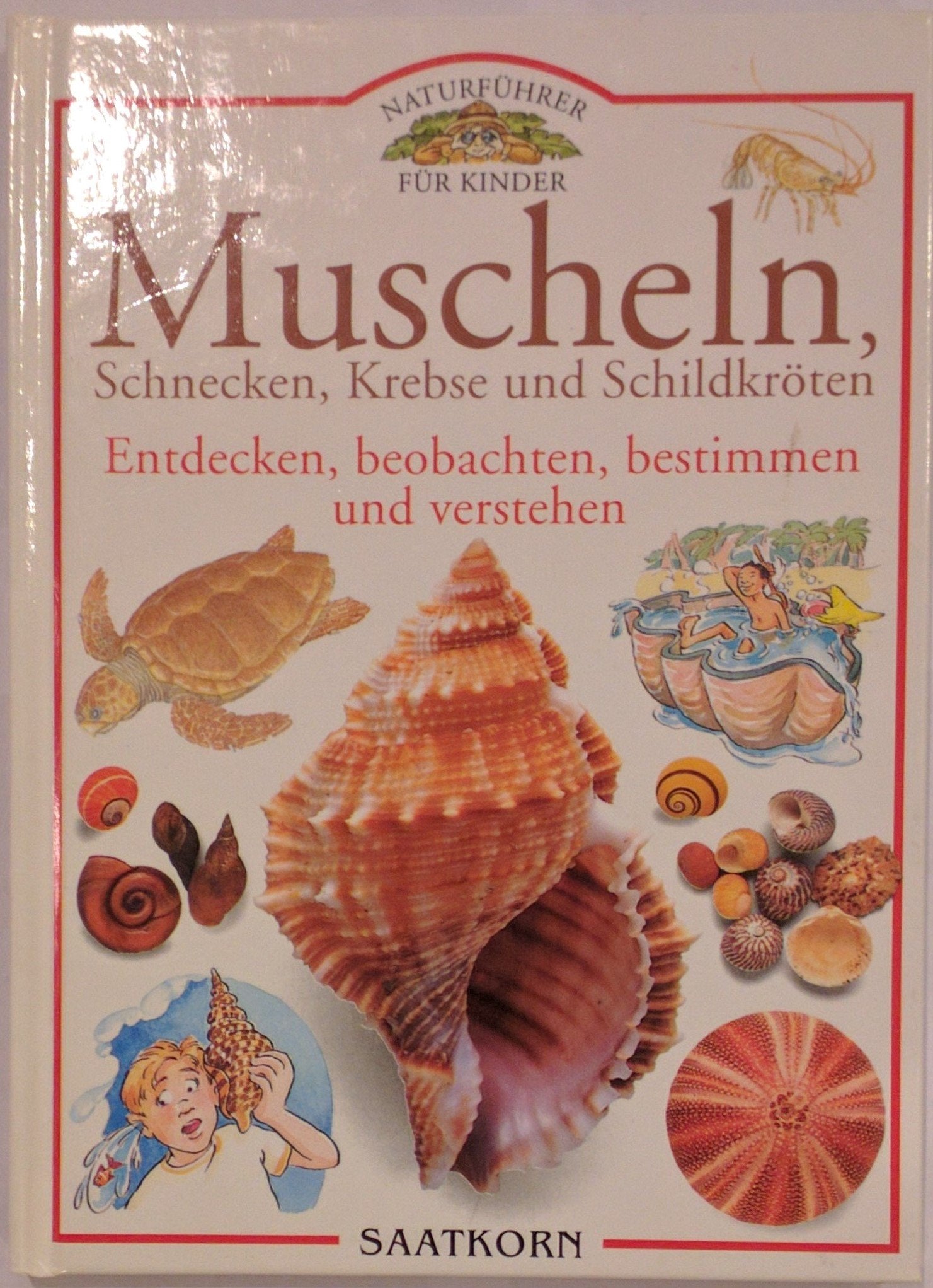 Naturführer für Kinder: Muscheln, Schnecken, Krebse und Schildkröten - Entdecken, beobachten, bestimmen und verstehen. Books