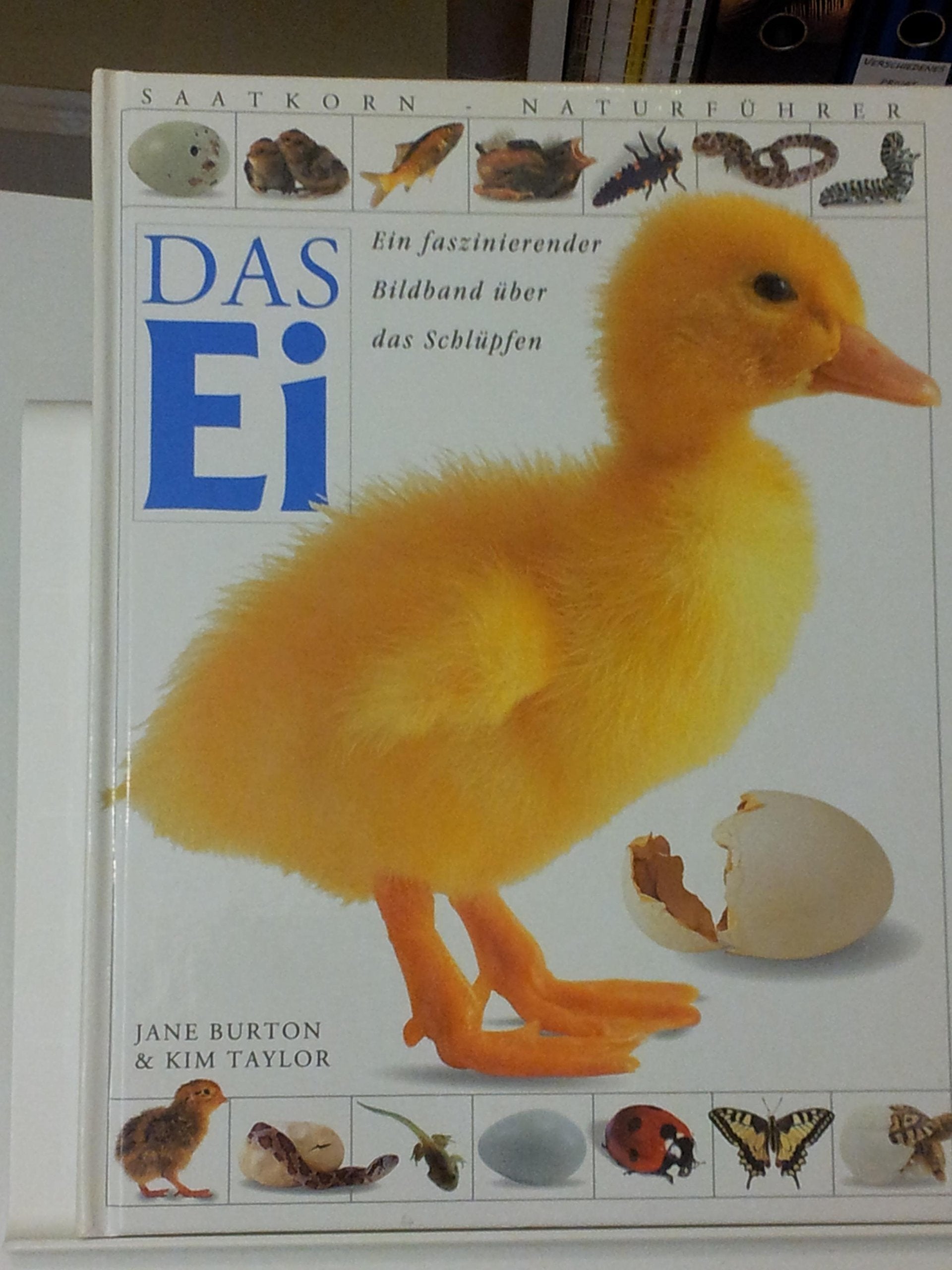 Das Ei. Ein faszinierender Bildband über das Schlüpfen Books