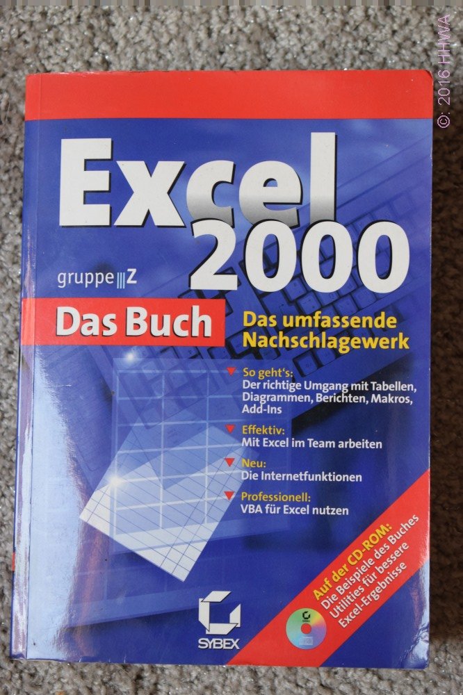Excel 2000. Das Buch. (mit CD-ROM) Computer Science
