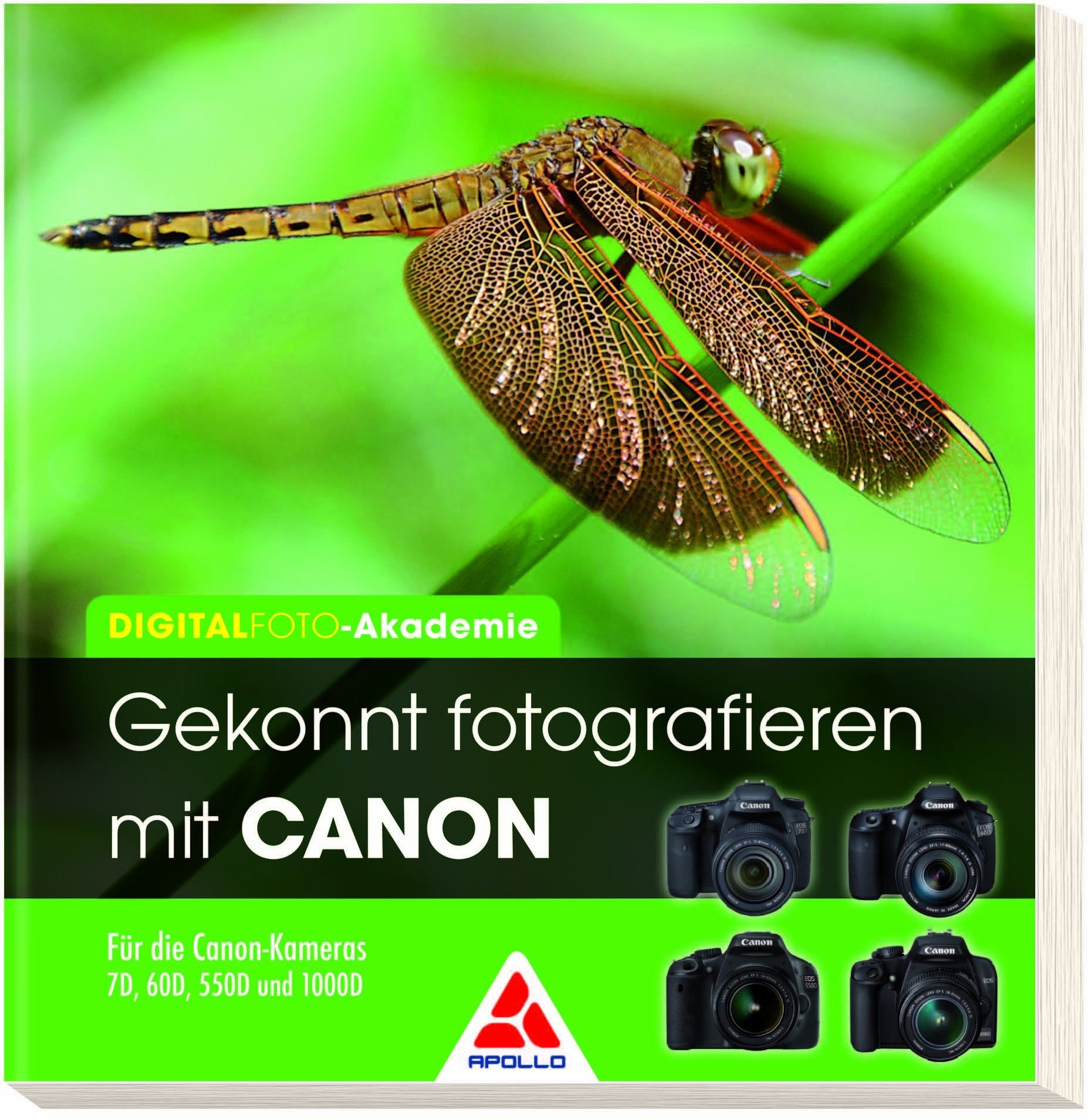 Gekonnt fotografieren mit CANON Hobbies & Crafts