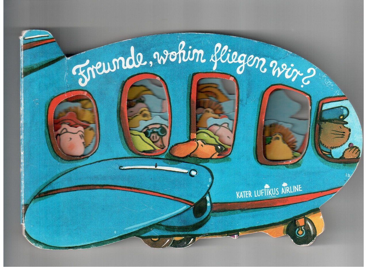Freunde, wohin fliegen wir? Books