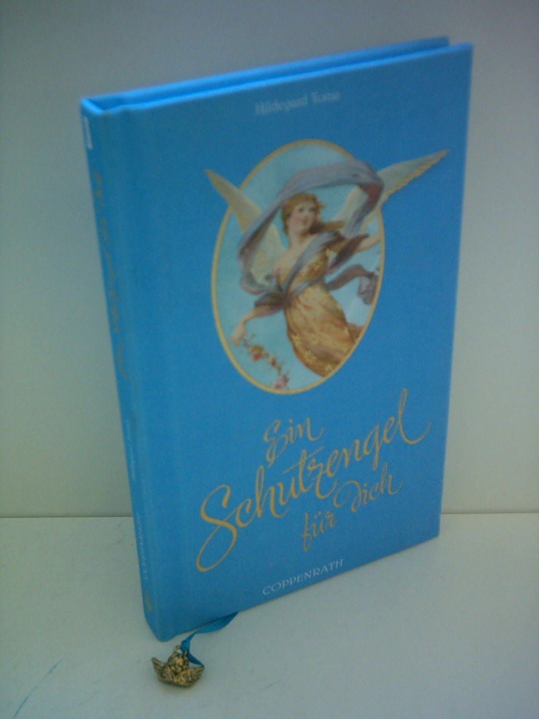 Ein Schutzengel für dich: Wissenswertes & Unterhaltsames, Geschichten & Gedichte (Geschenkbücher für Erwachsene) Religion & Esotericism