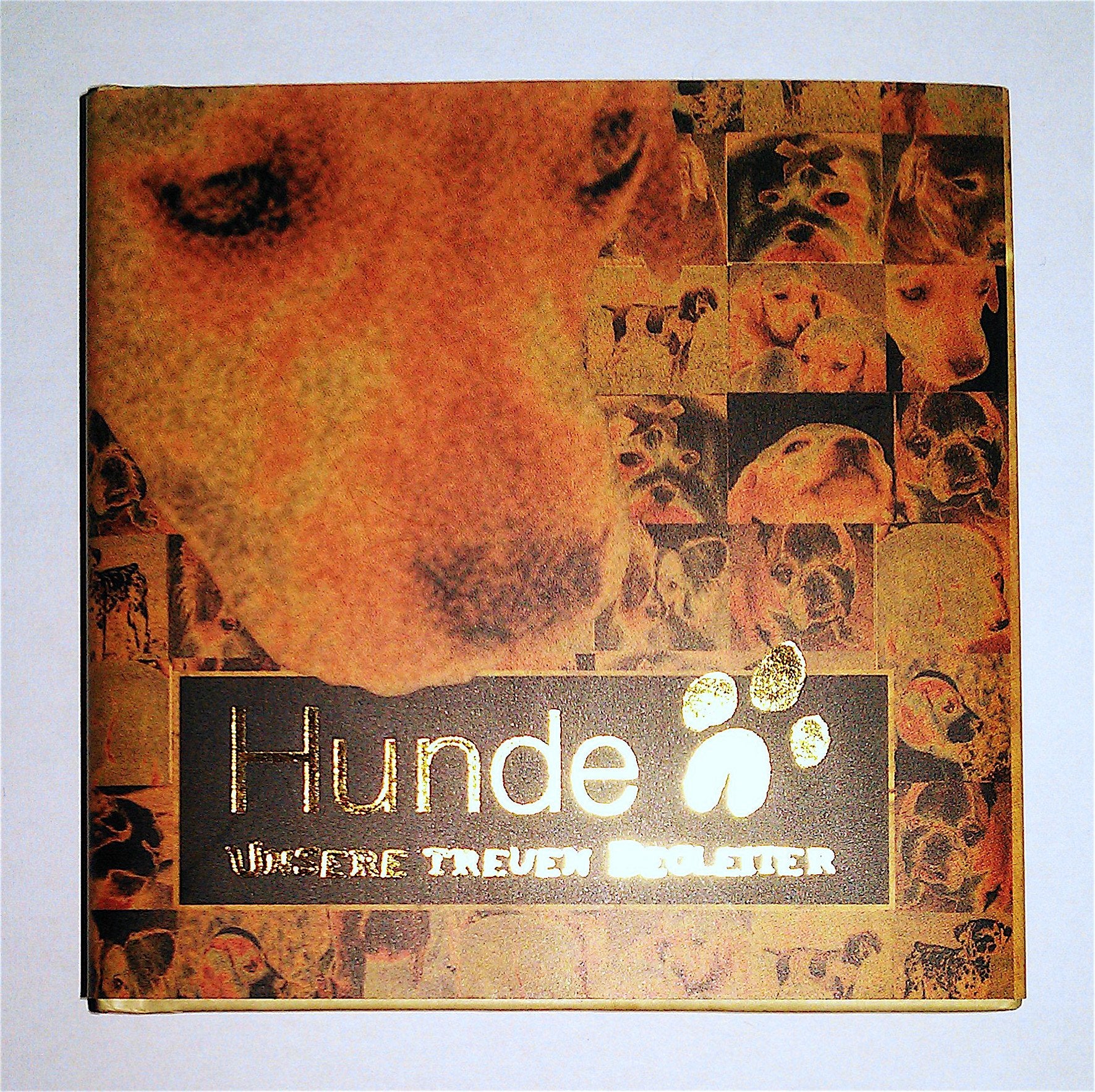 Hunde - Unsere treuen Begleiter Books