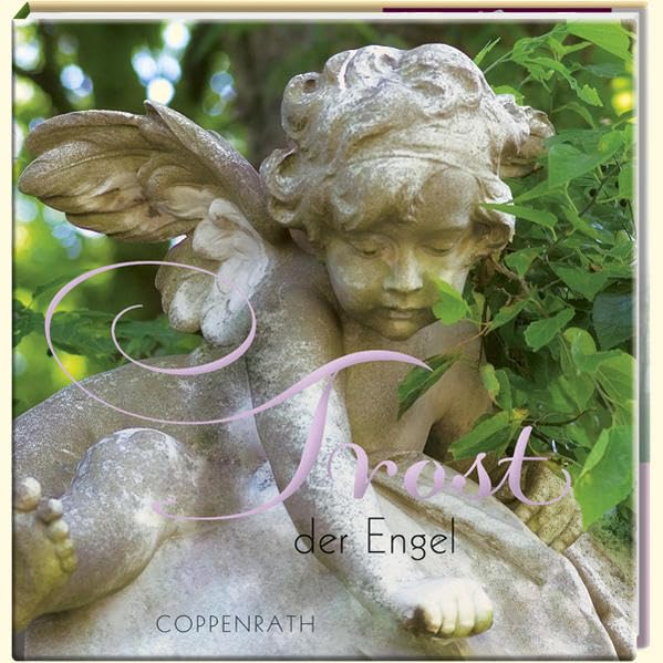 Trost der Engel Living & Furnishing Books