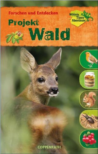 Forschen und Entdecken: Projekt Wald (Kreativ- und Sachbücher) Non-fiction