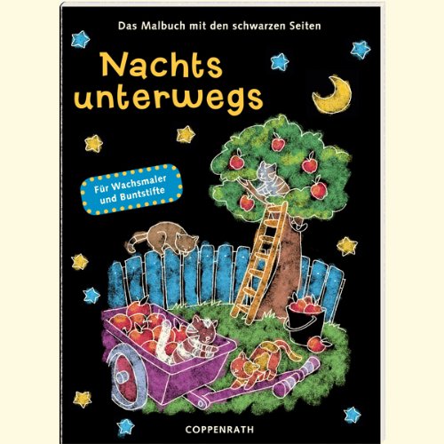 Nachts unterwegs: Das Malbuch mit den schwarzen Seiten (Verkaufseinheit) book