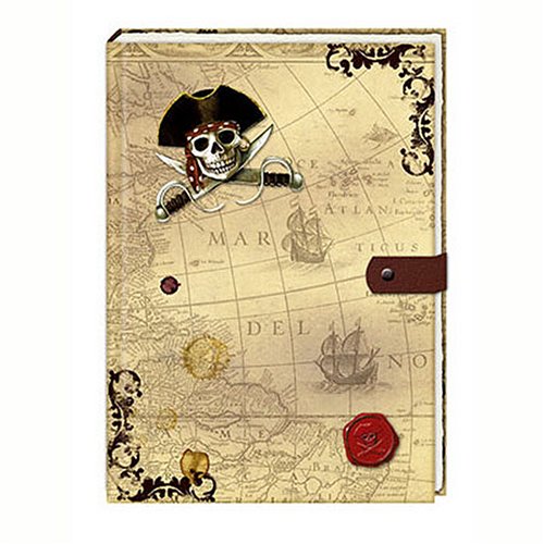 Piraten Tagebuch book