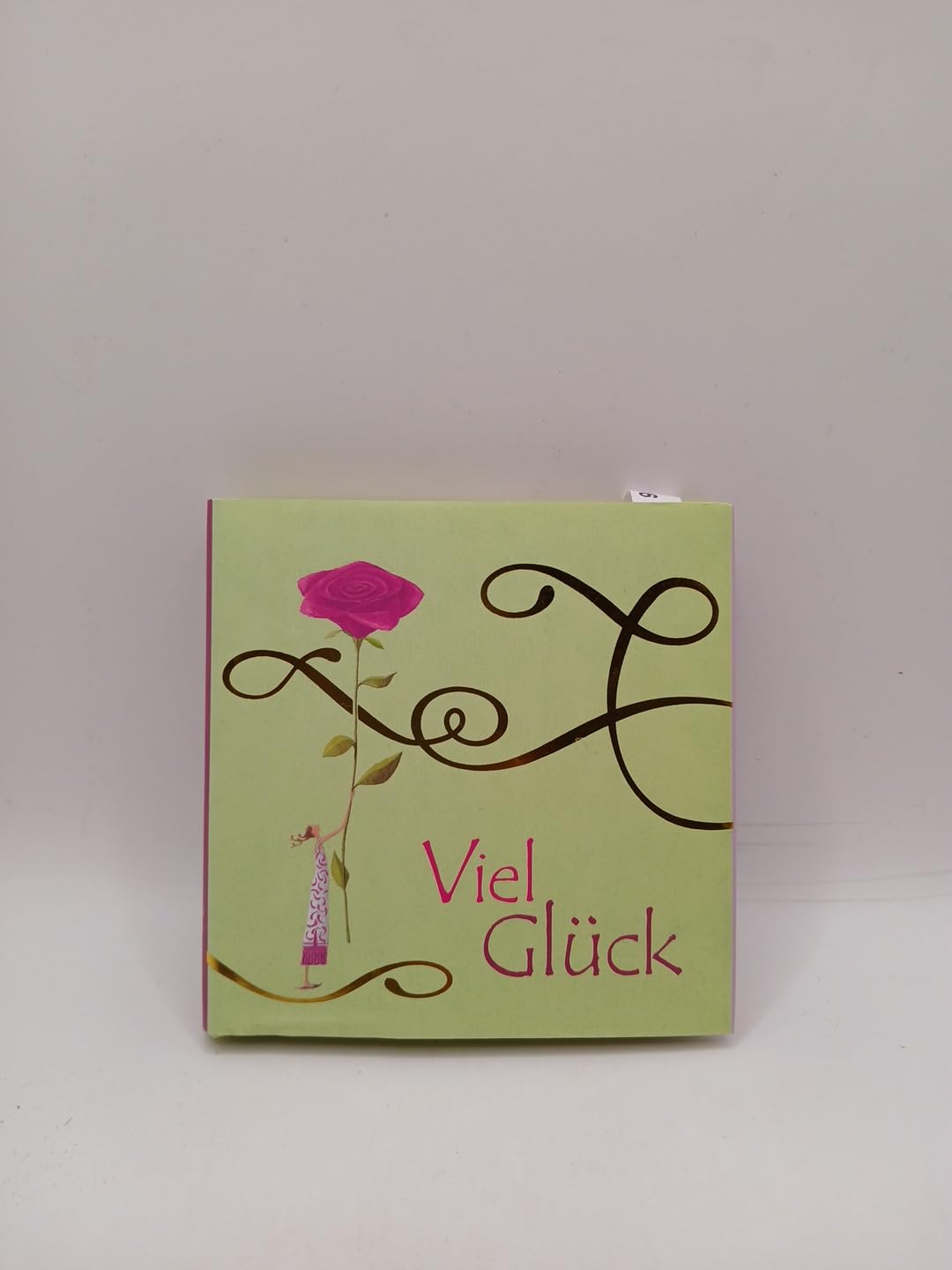 Viel Glück (Geschenkbücher - BiblioPhilia) Lifestyle