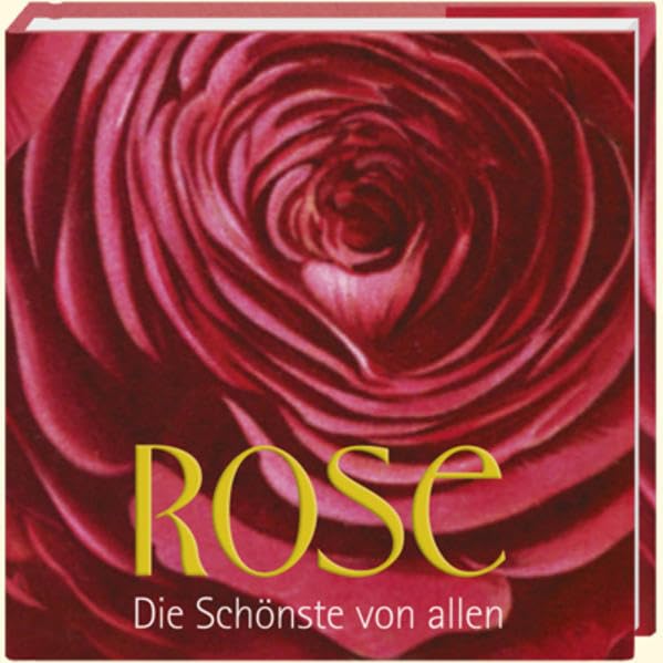 Rose - Die Schönste von allen (Geschenkbücher - BiblioPhilia) Living & Furnishing