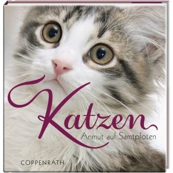 BelLibri: Katzen - Anmut auf Samtpfoten (Geschenkbücher für Erwachsene) Pets