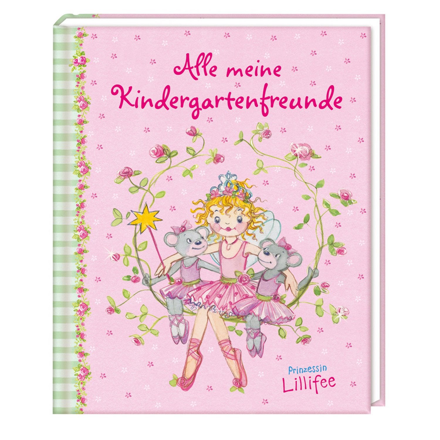 Prinzessin Lillifee - Alle meine Kindergartenfreunde (Eintragbücher) Non-fiction