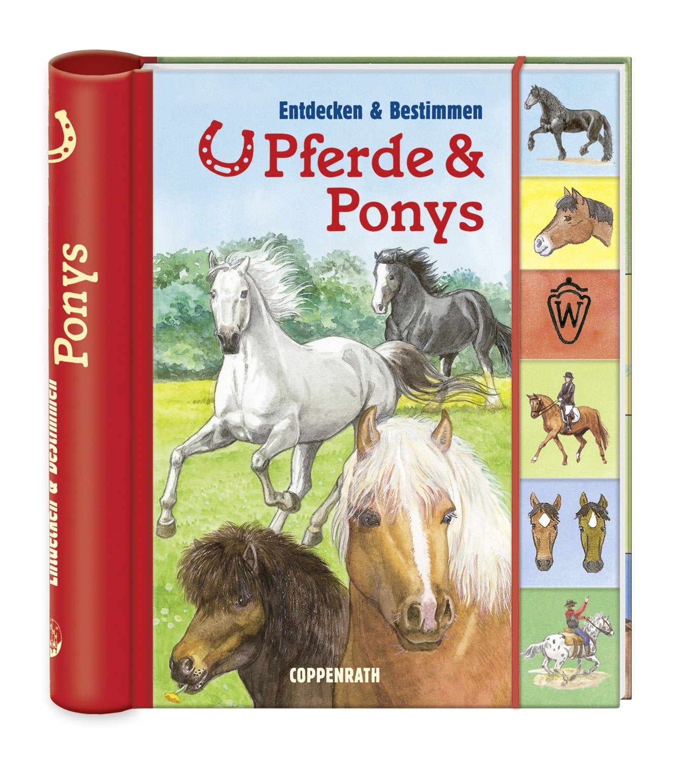 Pferde & Ponys: Entdecken & Bestimmen (Kreativ- und Sachbücher) Non-fiction