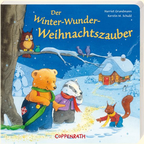 Der Winter-Wunder-Weihnachtszauber book