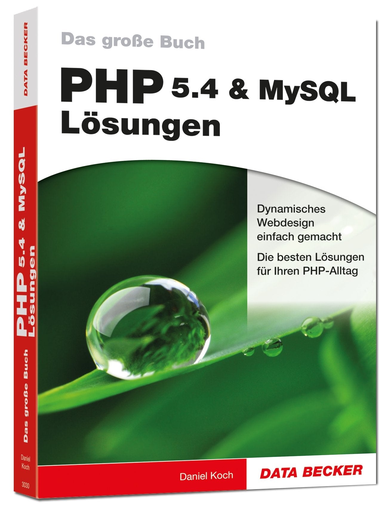 Das große Buch: PHP 5.4 & MYSQL Lösungen: Dynamisches Webdesign einfach gemacht. Die besten Lösungen für Ihren PHP-Alltag Computer Science