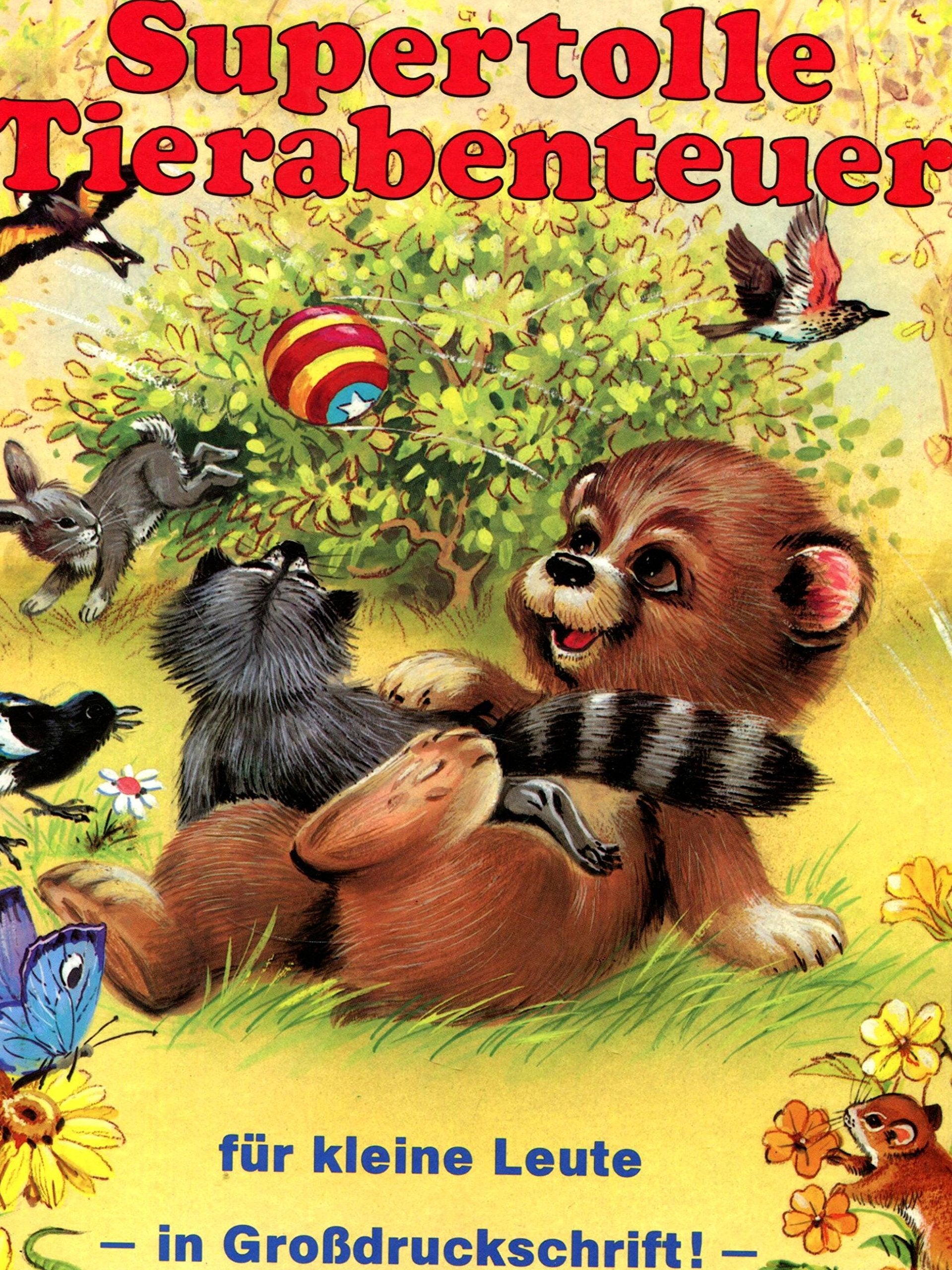 Supertolle Tierabenteuer für kleine Leute in Großdruckschrift, Books