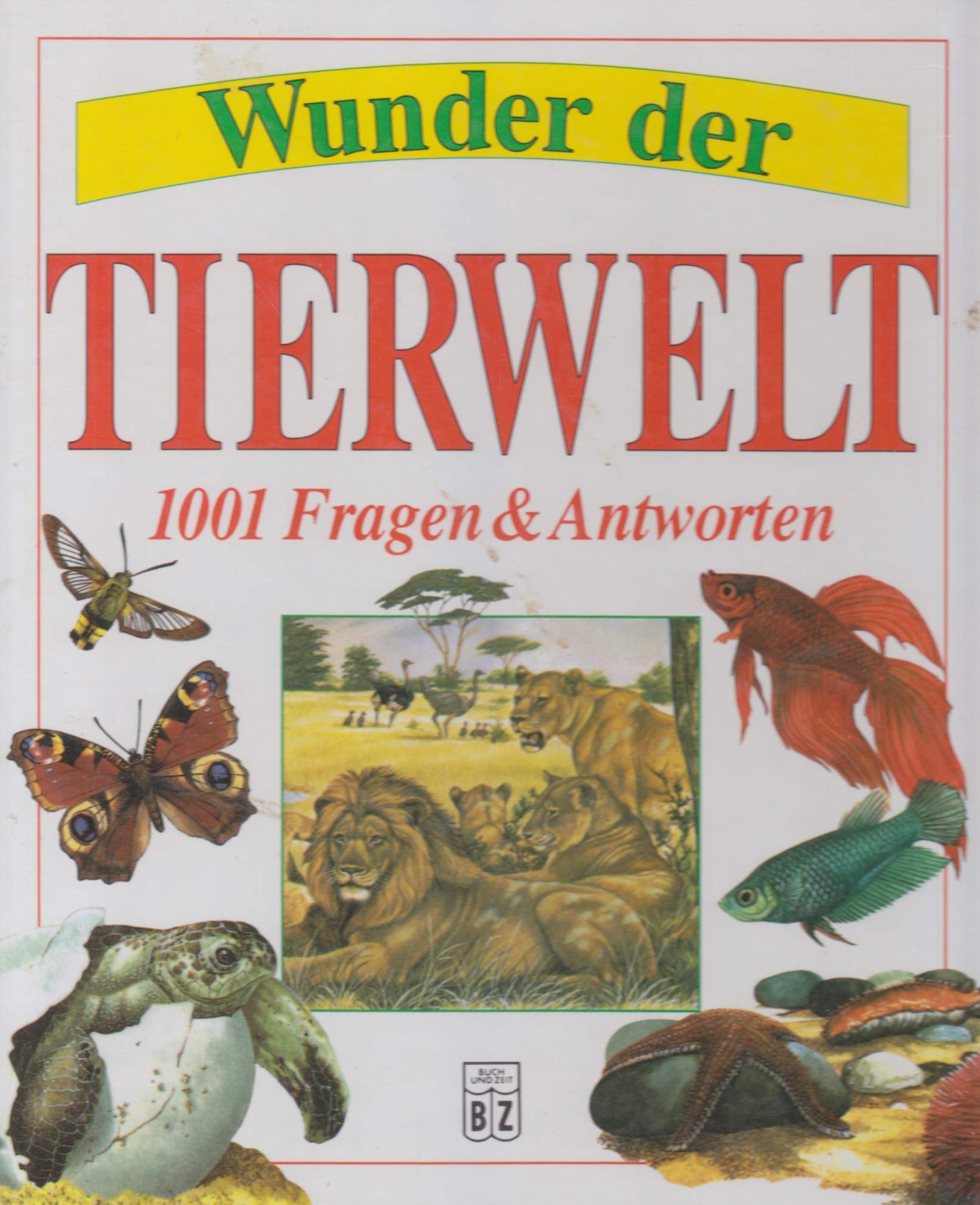 Wunder der Tierwelt 1001 Fragen und Antworten Children's books