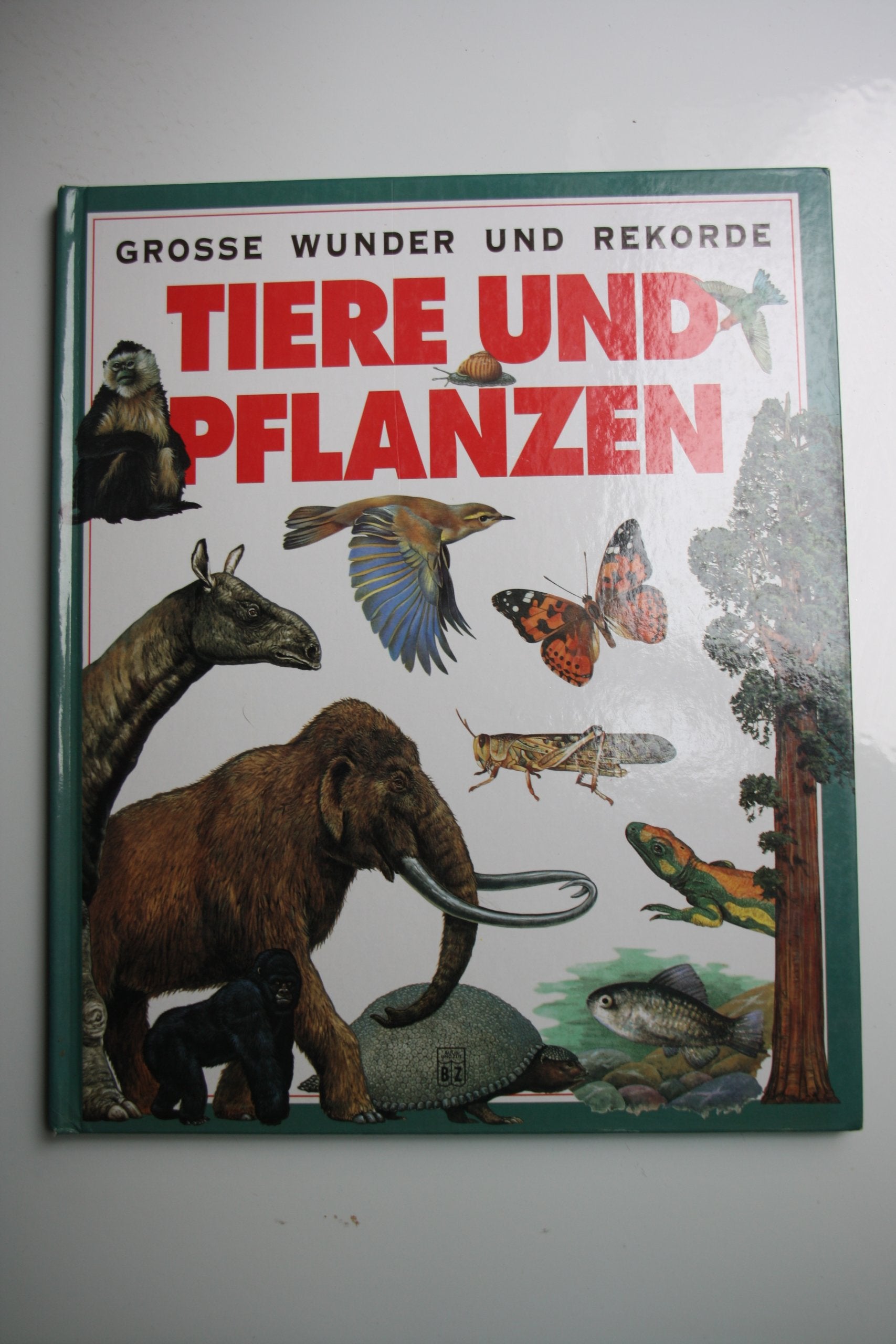 Grosse Wunder und Rekorde - Tiere und Pflanzen Books
