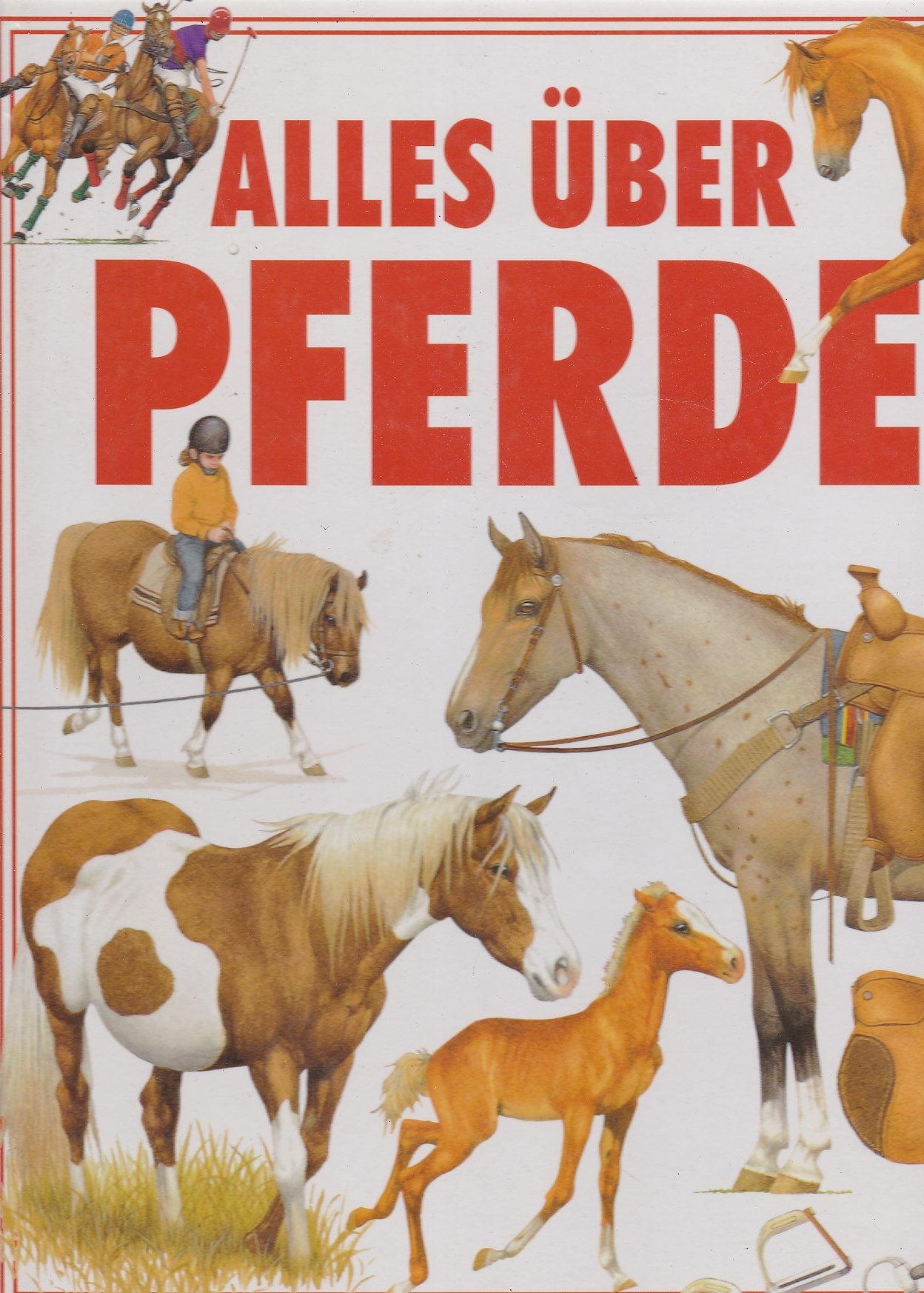 Alles über Pferde Books