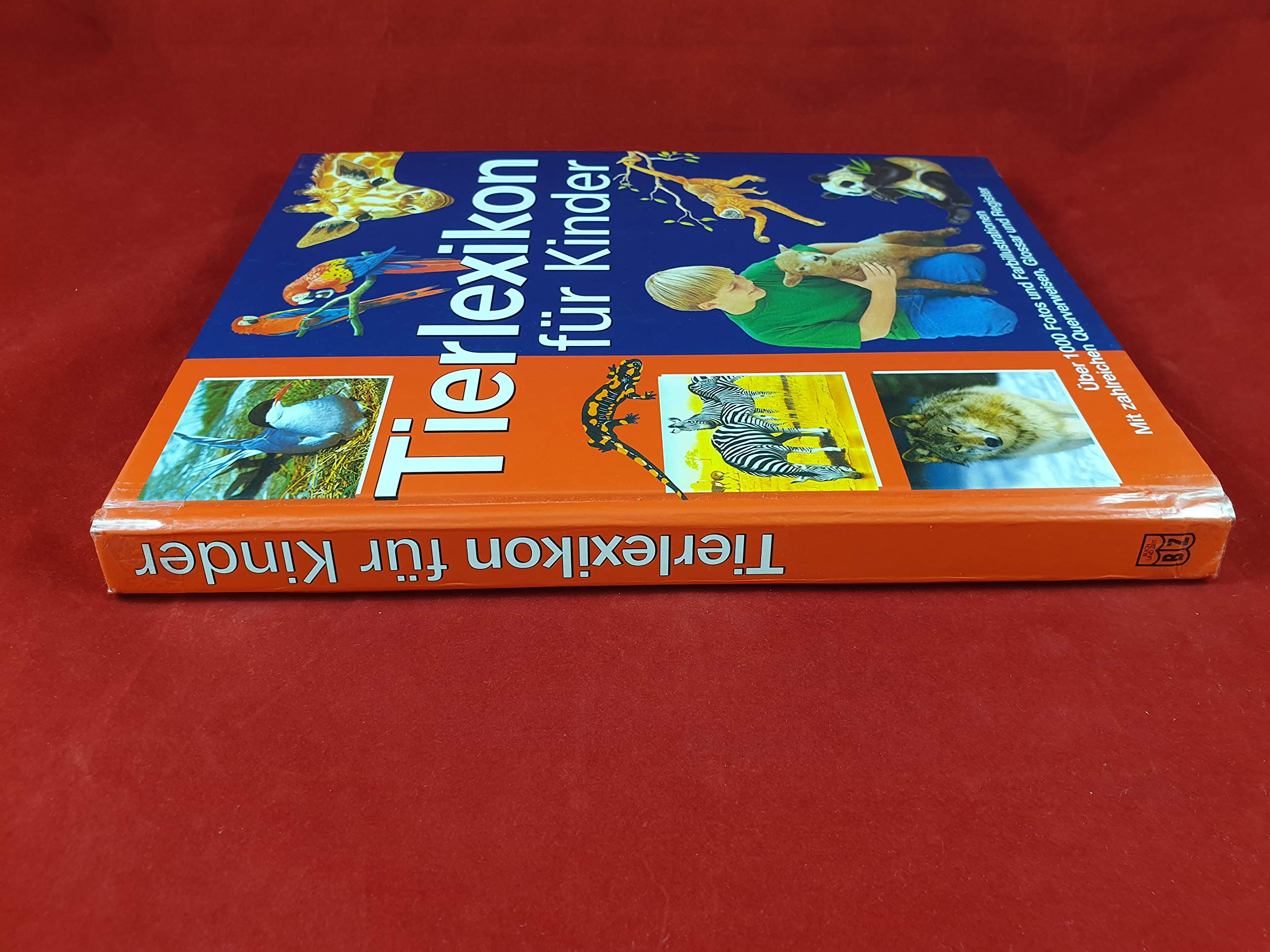 Tierlexikon für Kinder : . Books