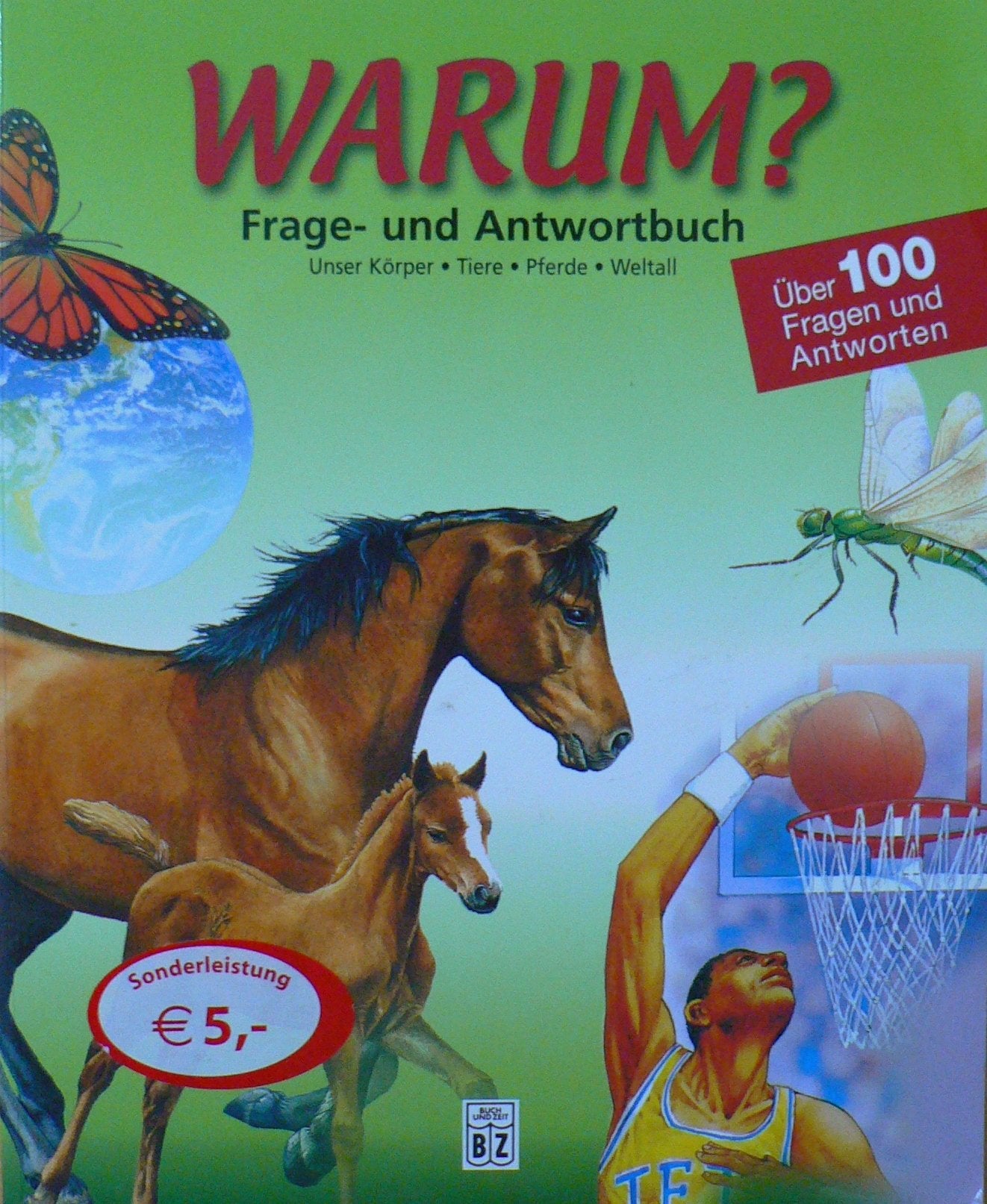 Warum? Frage und Antwortbuch - über 100 Fragen und Antworten (Wonder Why) - David West Children's Book Books