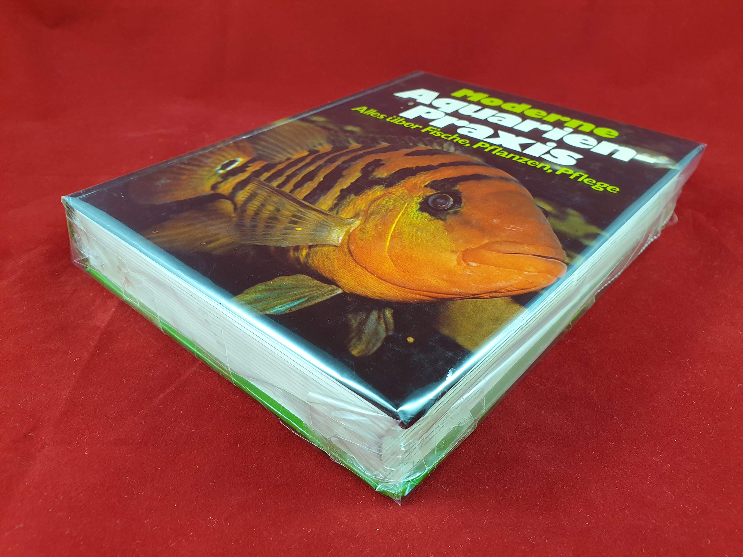 Moderne Aquarien-Praxis : alles über Fische, Pflanzen, Pflege. Leisure, Home & Garden