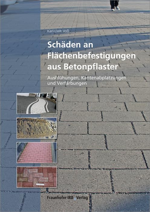 Schäden an Flächenbefestigungen aus Betonpflaster: Ausblühungen, Kantenabplatzungen und Verfärbungen book