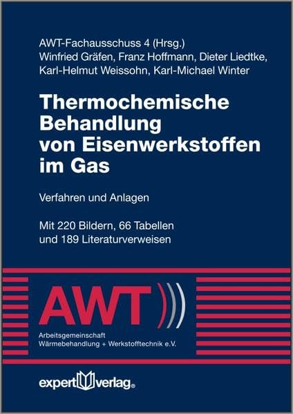 Thermochemische Behandlung von Eisenwerkstoffen im Gas: Verfahren und Anlagen (Reihe Technik) Business & Technology