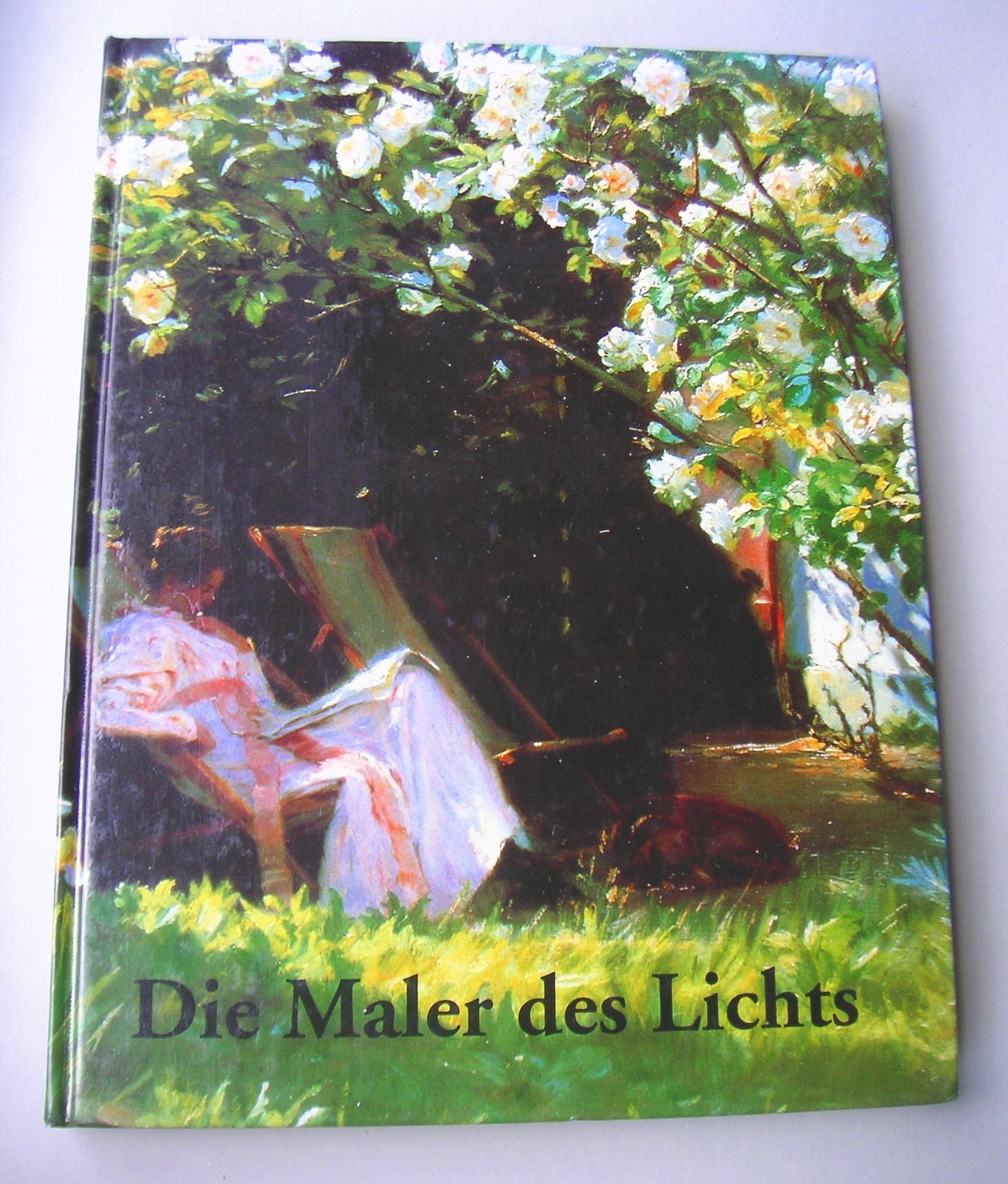 Painters of Light Second-hand books on film, art and culture