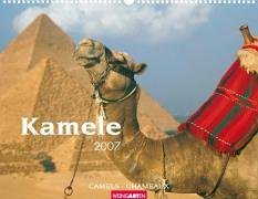 Kamele 2007 Calendars