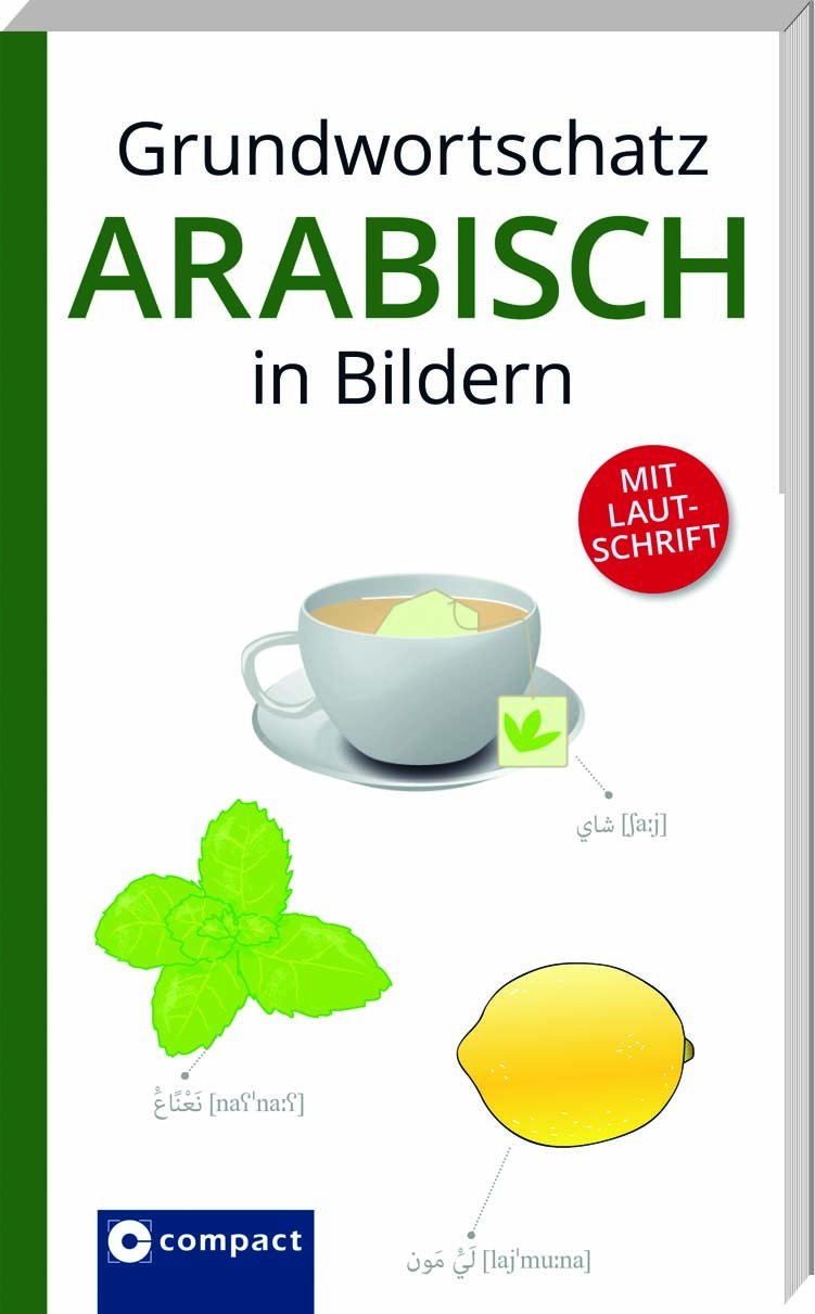 Grundwortschatz Arabisch in Bildern Media & Communication