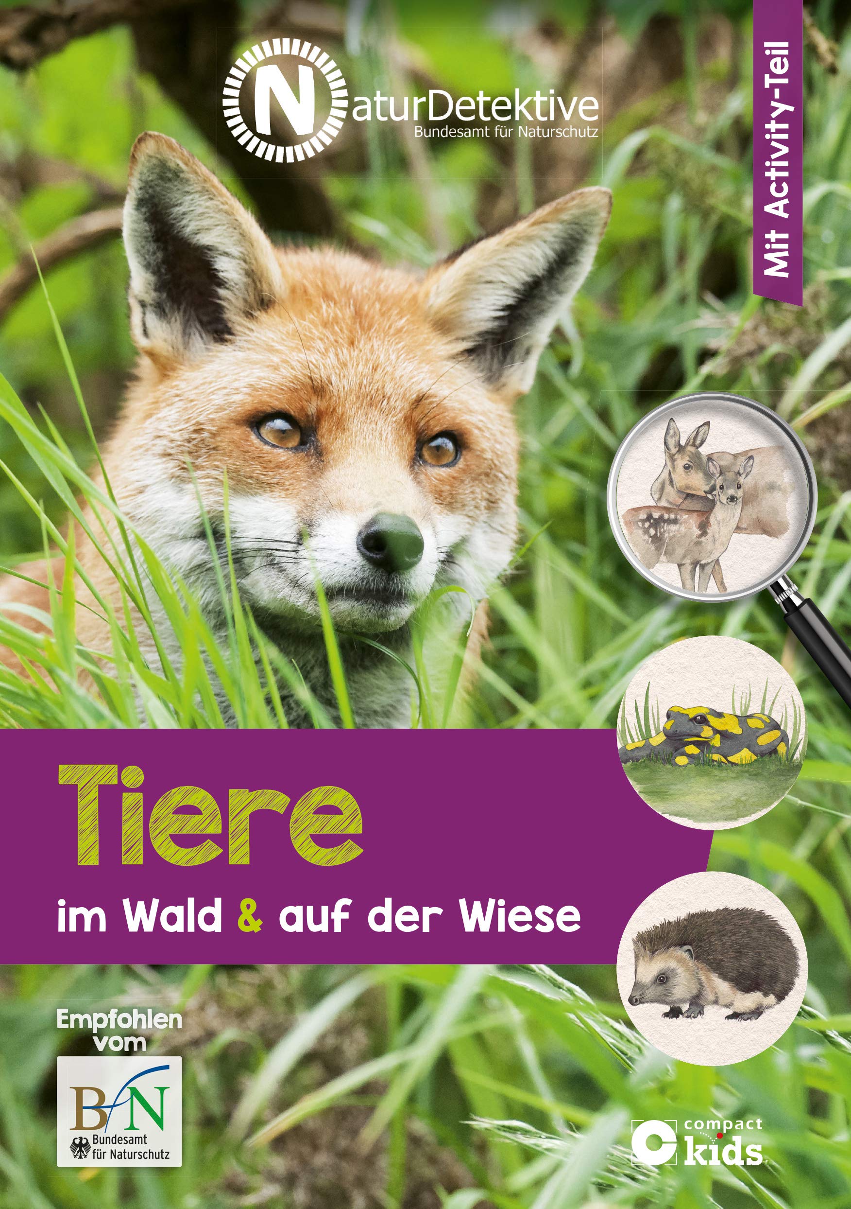 Tiere im Wald & auf der Wiese book