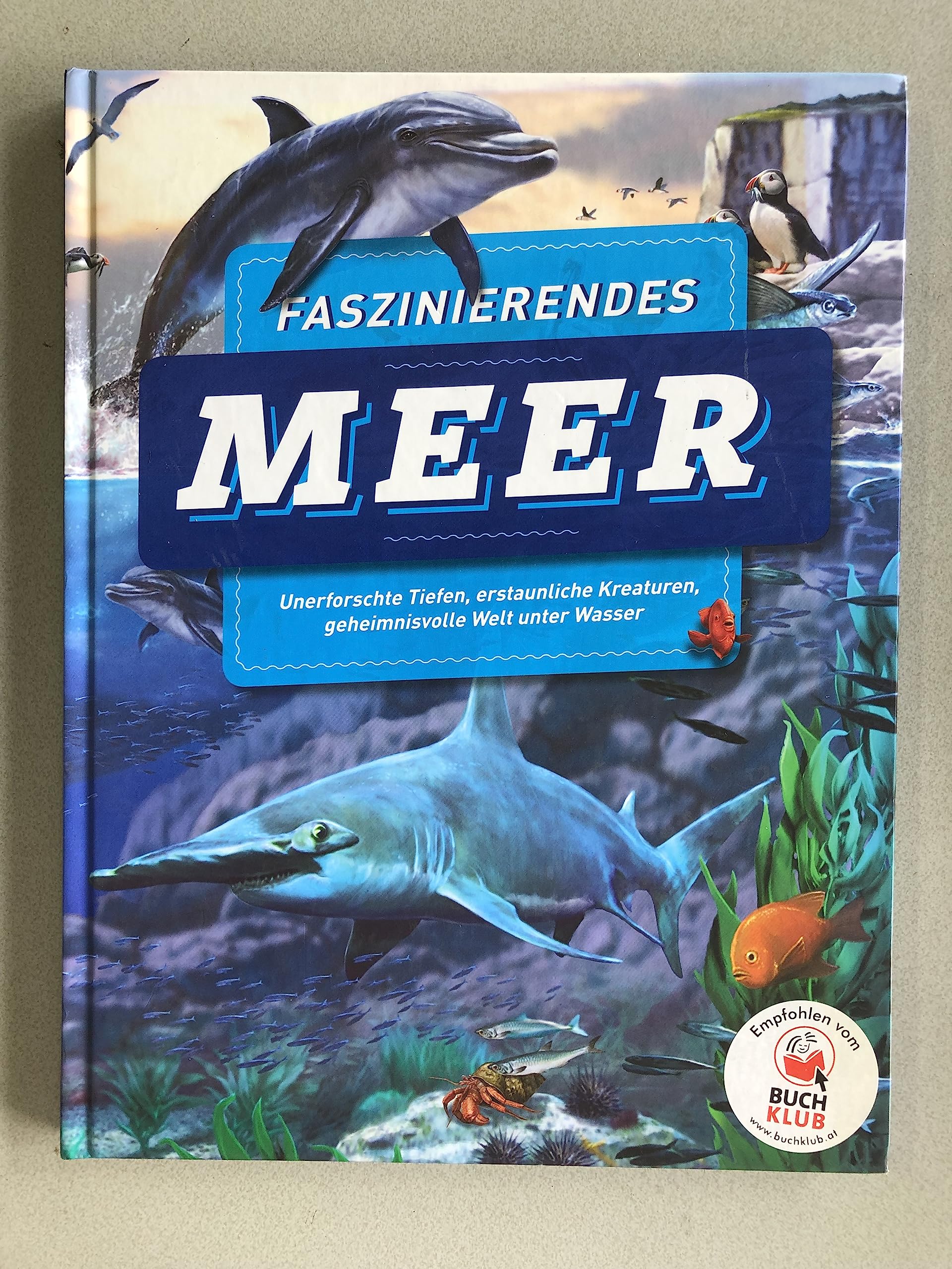 Faszinierendes Meer - Unerforschte Tiefene, erstaunliche Kreaturen, geheimnissvolle Welt unter Wasser Non-fiction