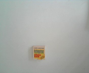Schneckenschreck & Kürbiskern: 1000 Tips für den Garten ohne Chemie (Compact-Miniratgeber) Leisure, Home & Garden