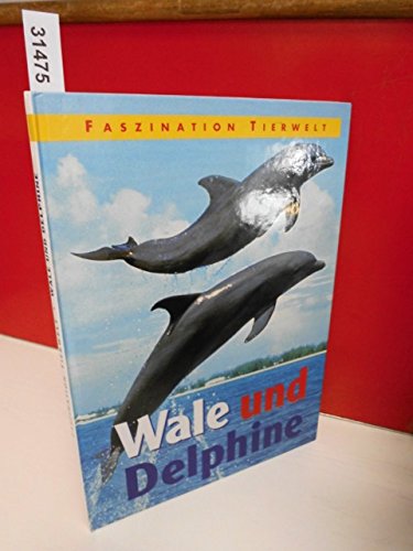 Wale und Delphine (Faszination Tierwelt) Books
