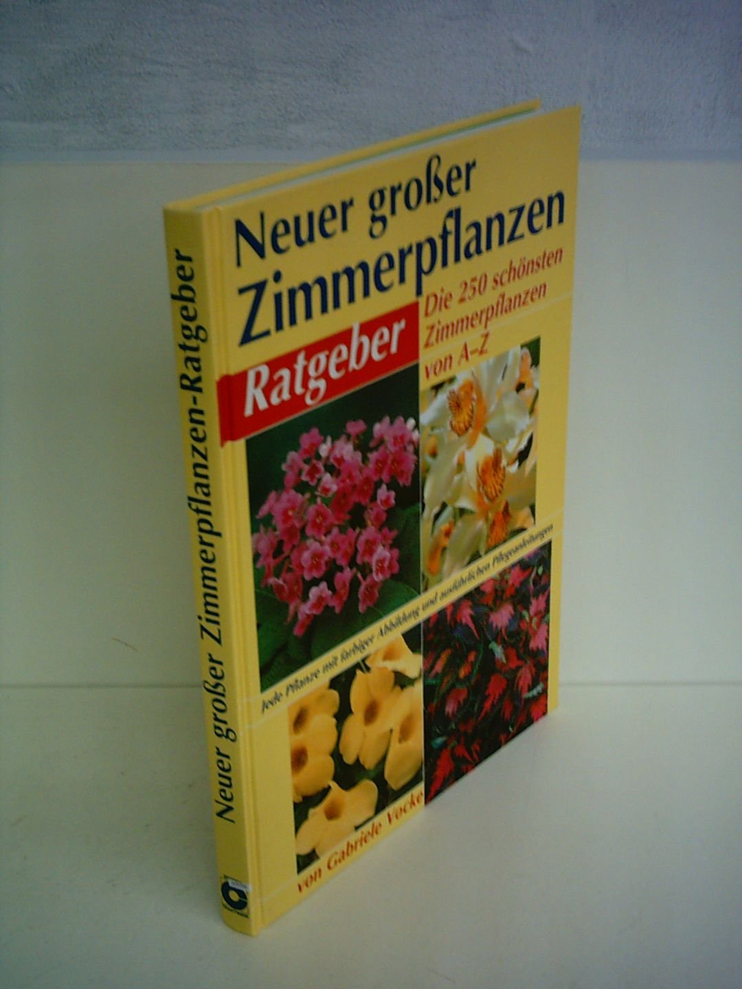Neuer grosser Zimmerpflanzen-Ratgeber: Die 350 schönsten Zimmerpflanzen von A - Z. Mit Gärtnertips und Pflegeanleitungen: Die 250 schönsten Zimmerpflanzen von A-Z. Mit Gärtnertips u. Pflegeanleitungen Leisure, Home & Garden