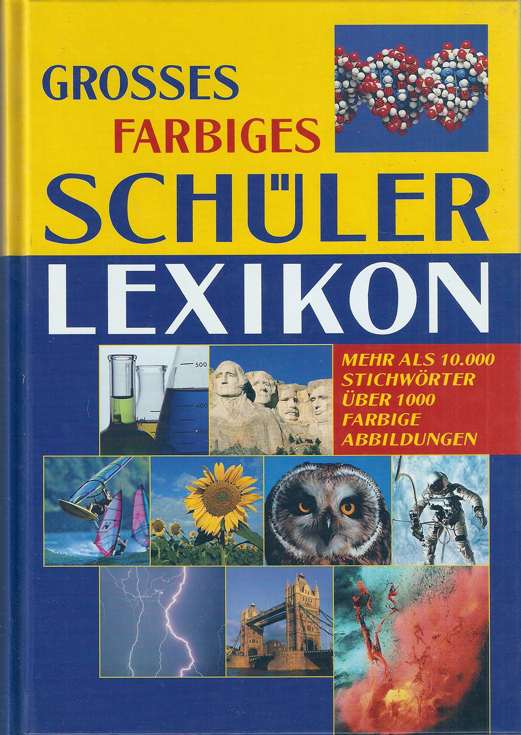 Grosses farbiges Schülerlexikon Books
