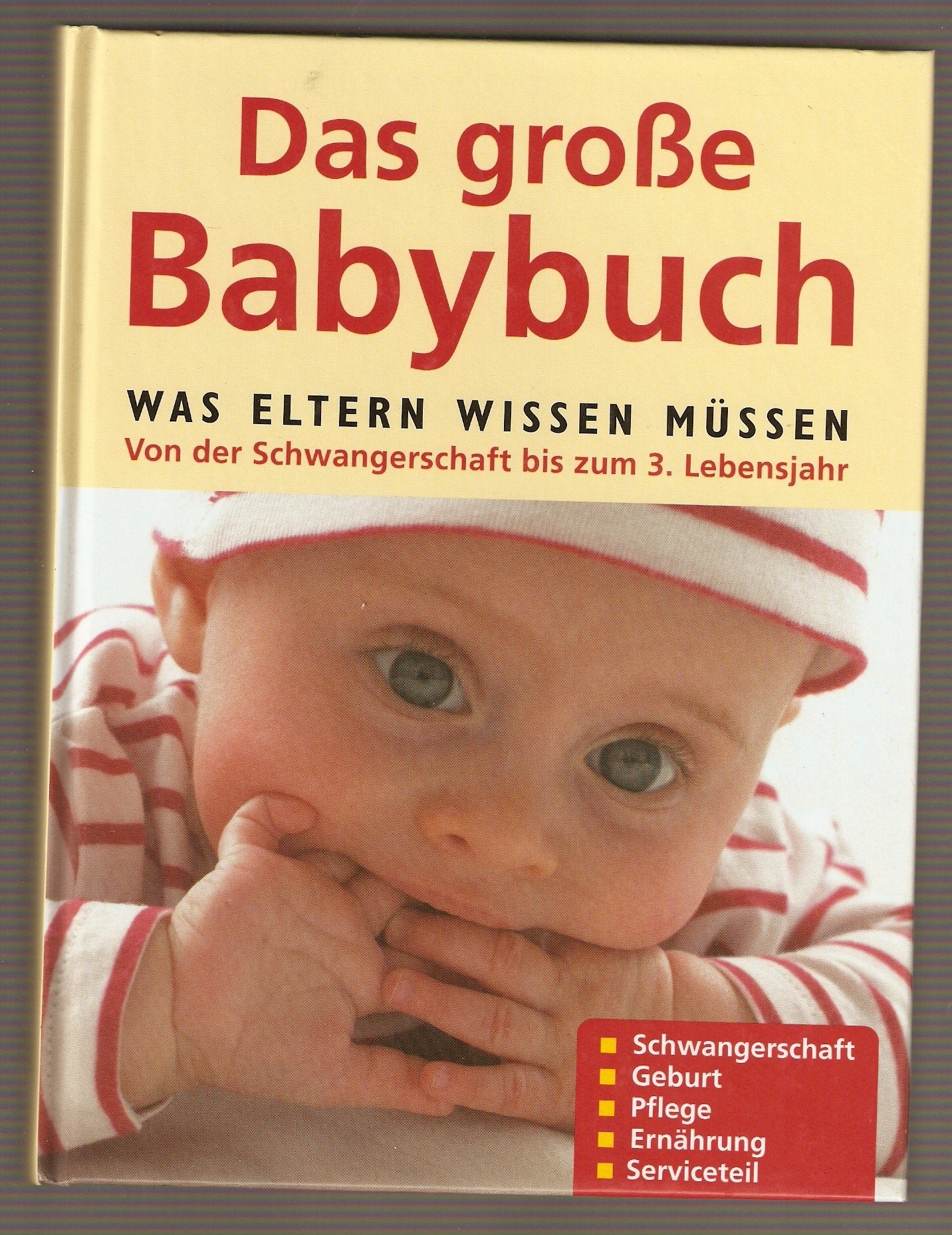 Das große Babybuch - Was Eltern wissen müssen. Von der Schwangerschaft bis zum 3. Lebensjahr Books