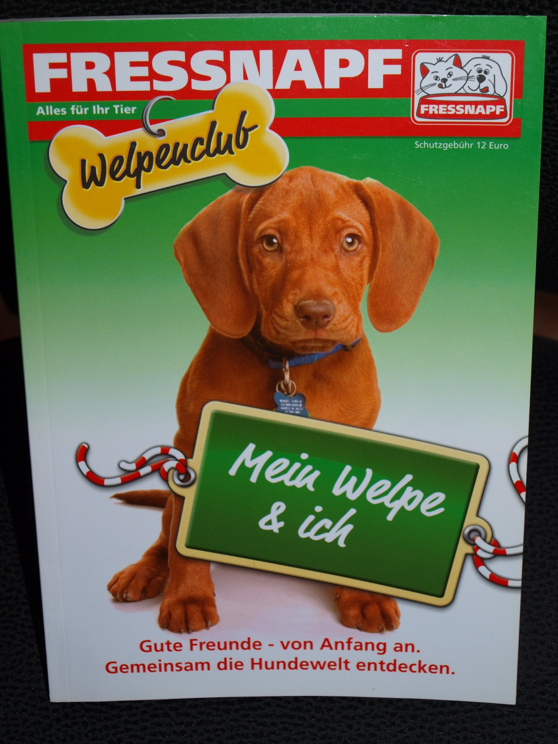Mein Welpe und ich - Gute Freunde von Anfang an. Gemeinsam die Hundewelt entdecken Books