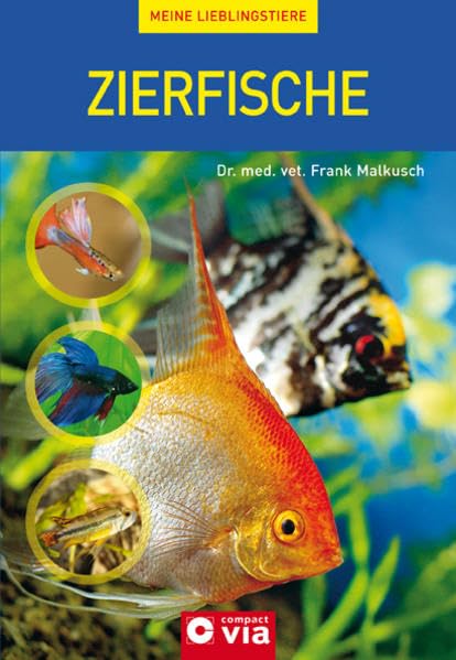 Zierfisch (Meine Lieblingstiere) Pets