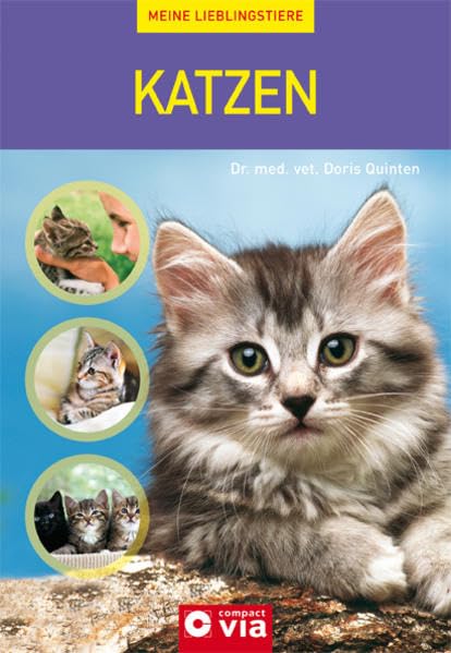 Product Image: Katzen (Meine Lieblingstiere)