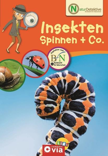 Naturdetektive - Insekten, Spinnen & Co. Natural Sciences