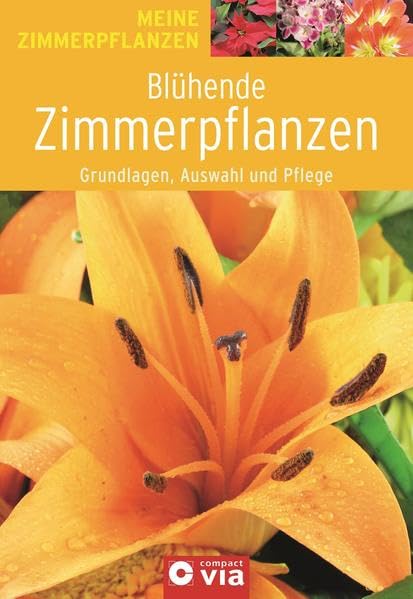 Product Image: Blühende Zimmerpflanzen