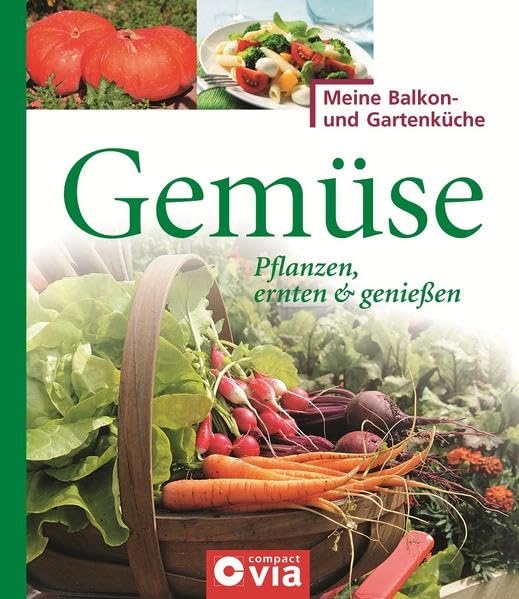 Gemüse Leisure, Home & Garden