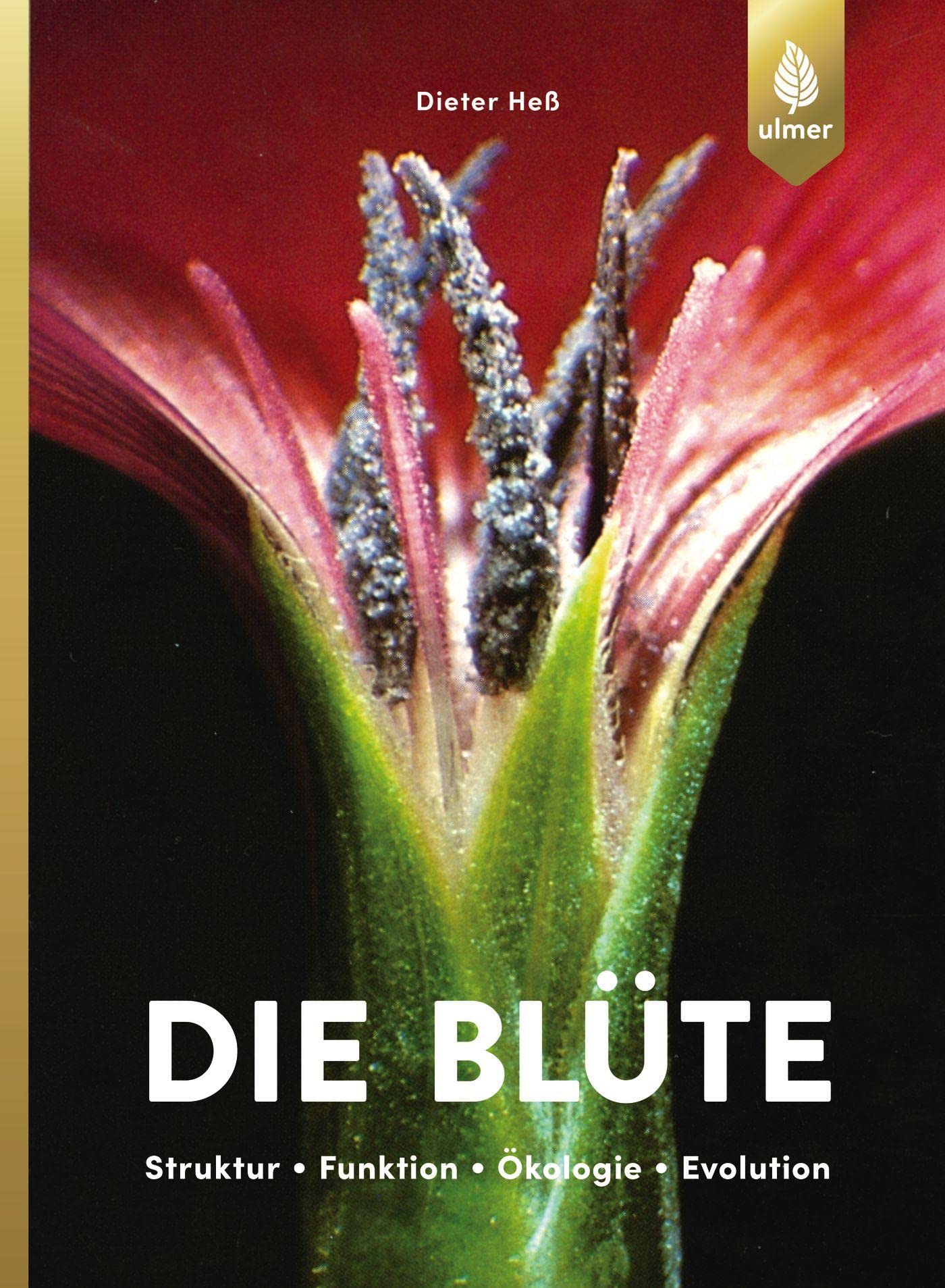 Die Blüte: Struktur, Funktion, Ökologie, Evolution Natural Sciences